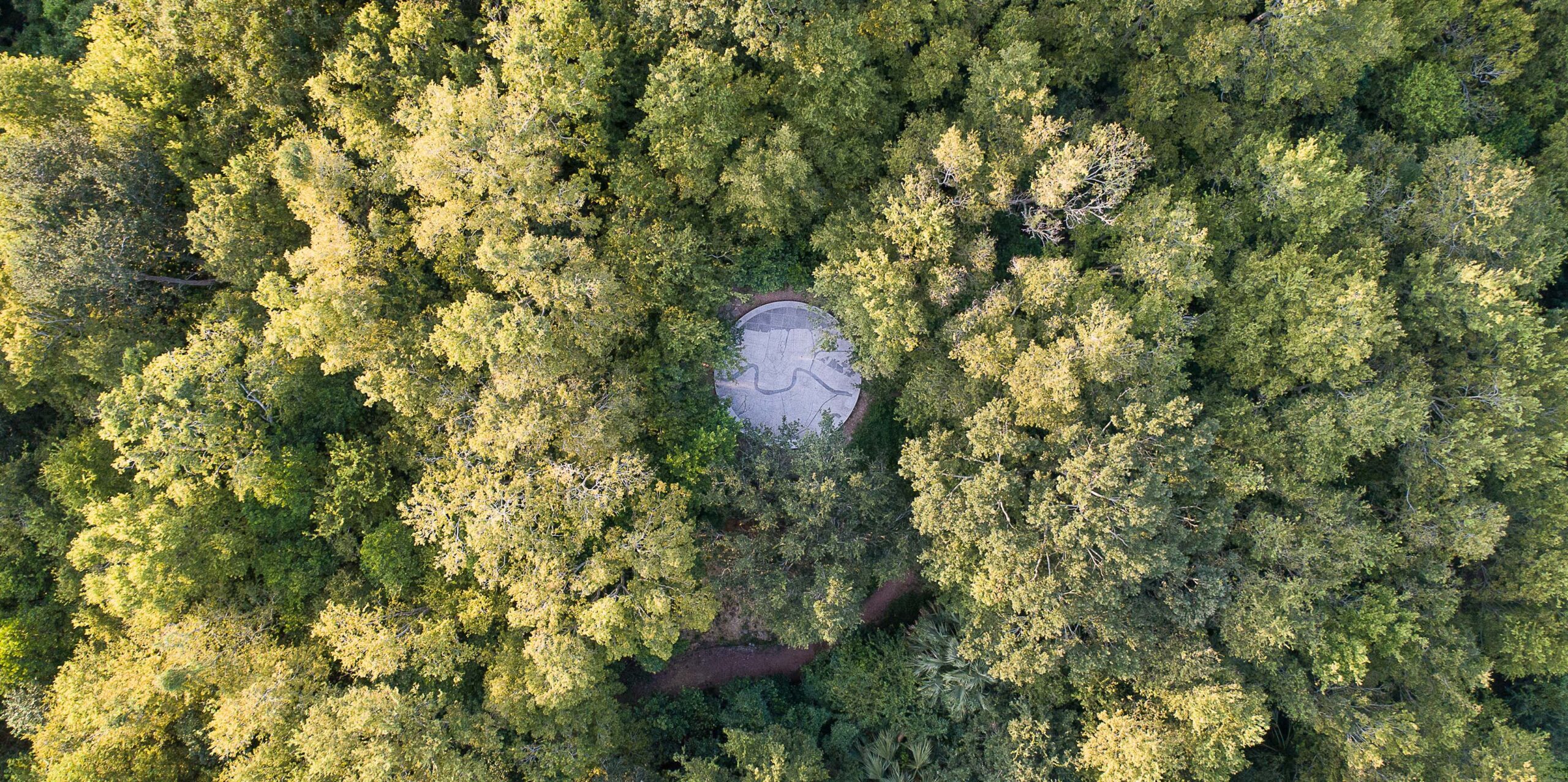 Aerial photo looking down at a dense forest of tree tops with a singular circular patio-deck area in the middle of the frame.