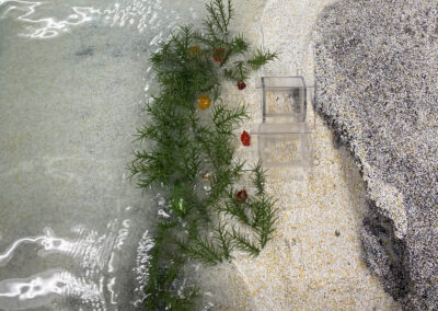 View from above of a water and sand table showing the threshold between the two with small model homes and vegetation situated at the coastline/riverbank.